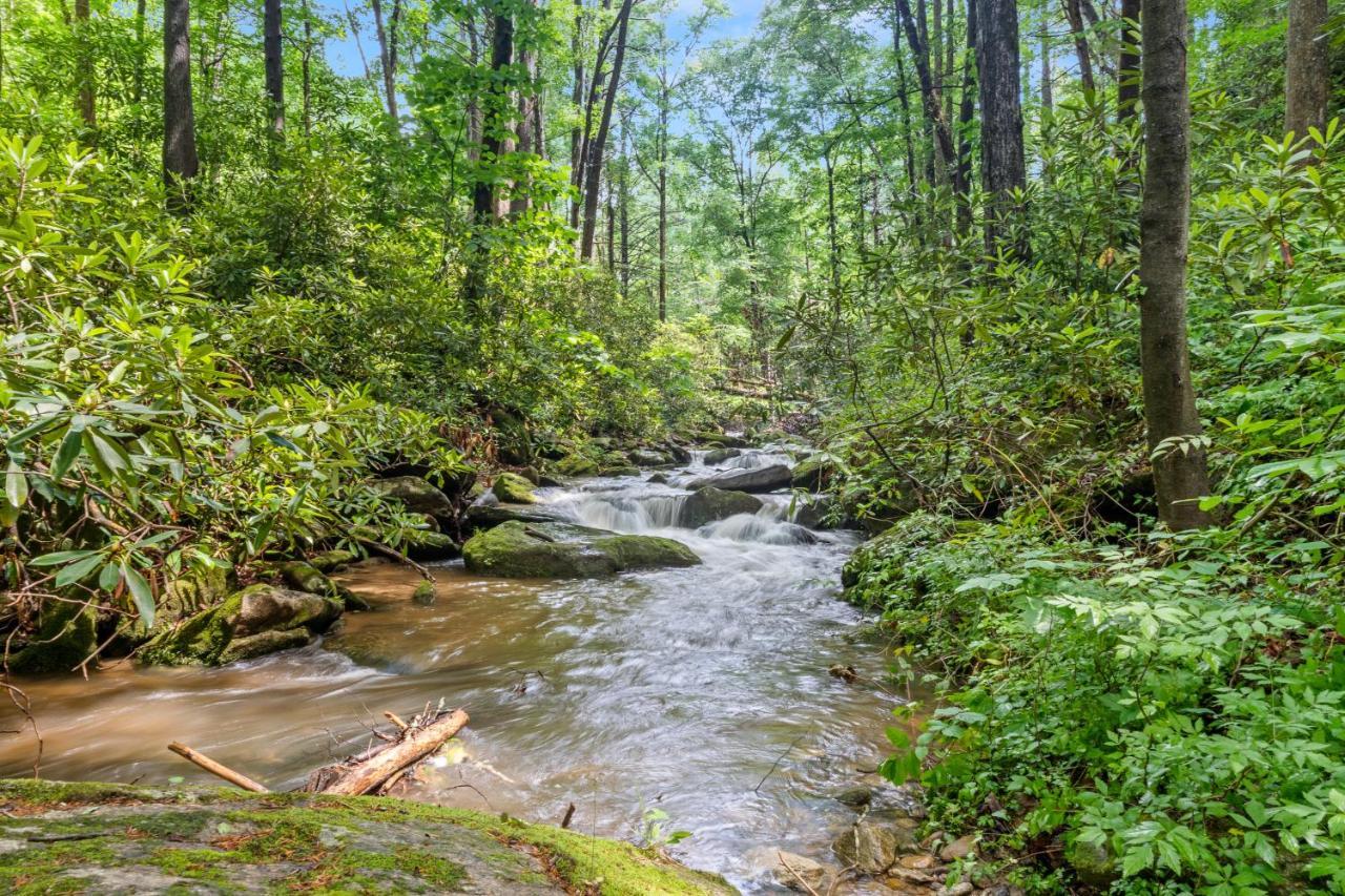 Falling Waters At Rumbling Bald Lake Lure Exteriér fotografie